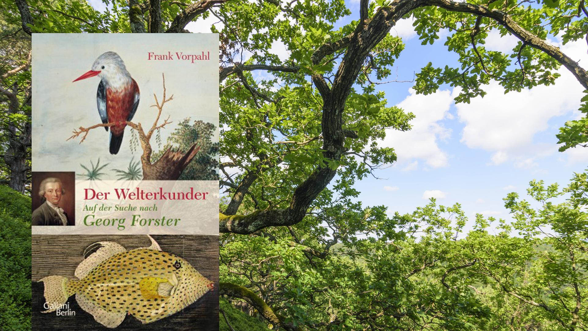 Buchcover "Der Welterkunder" vor dem Hintergrund eines Waldes Buchcover "Der Welterkunder" vor dem Hintergrund eines Waldes