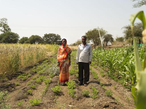 Die Landwirte Devshala Rankhamb und Tanaji Rankhamb stehen auf einem Acker auf dem kleine grüne Pflanzen sprießen.