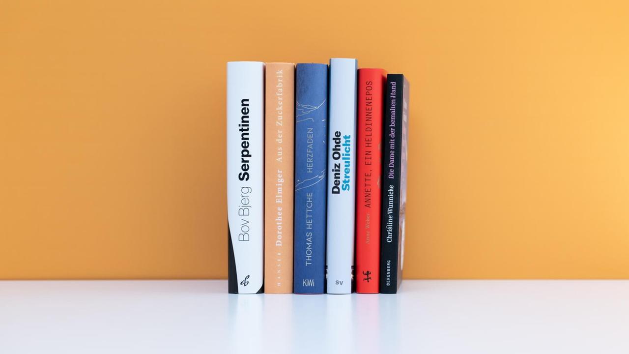 Die sechs nominierten Buchtitel stehen aufgereiht nebeneinander vor einer orangenen Wand. Die sechs nominierten Buchtitel stehen aufgereiht nebeneinander vor einer orangenen Wand.