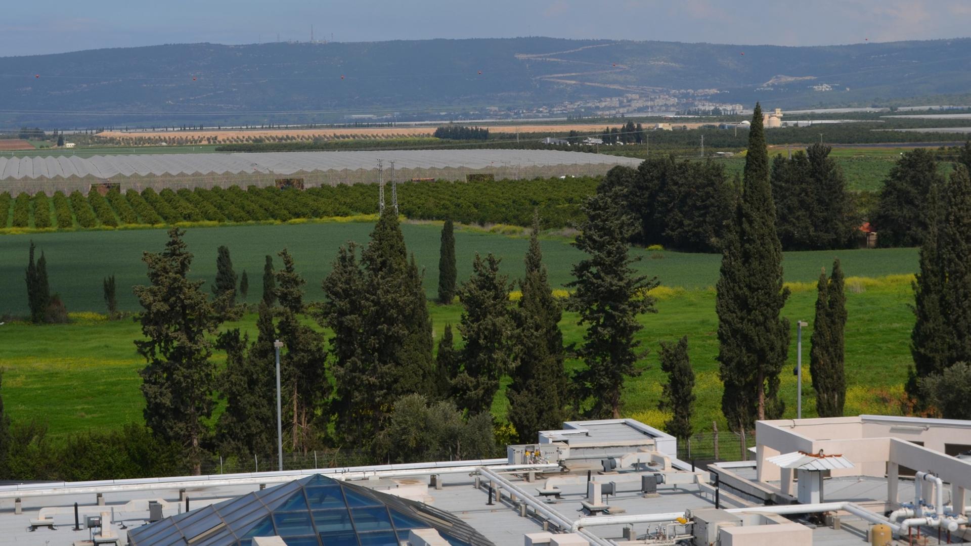 Blick über das Dach des Krankenhauses der nordisraelischen Stadt Naharija über eine baumbestandene Wiese zur libanesischen Grenze. Blick über das Dach des Krankenhauses der nordisraelischen Stadt Naharija über eine baumbestandene Wiese zur libanesischen Grenze.