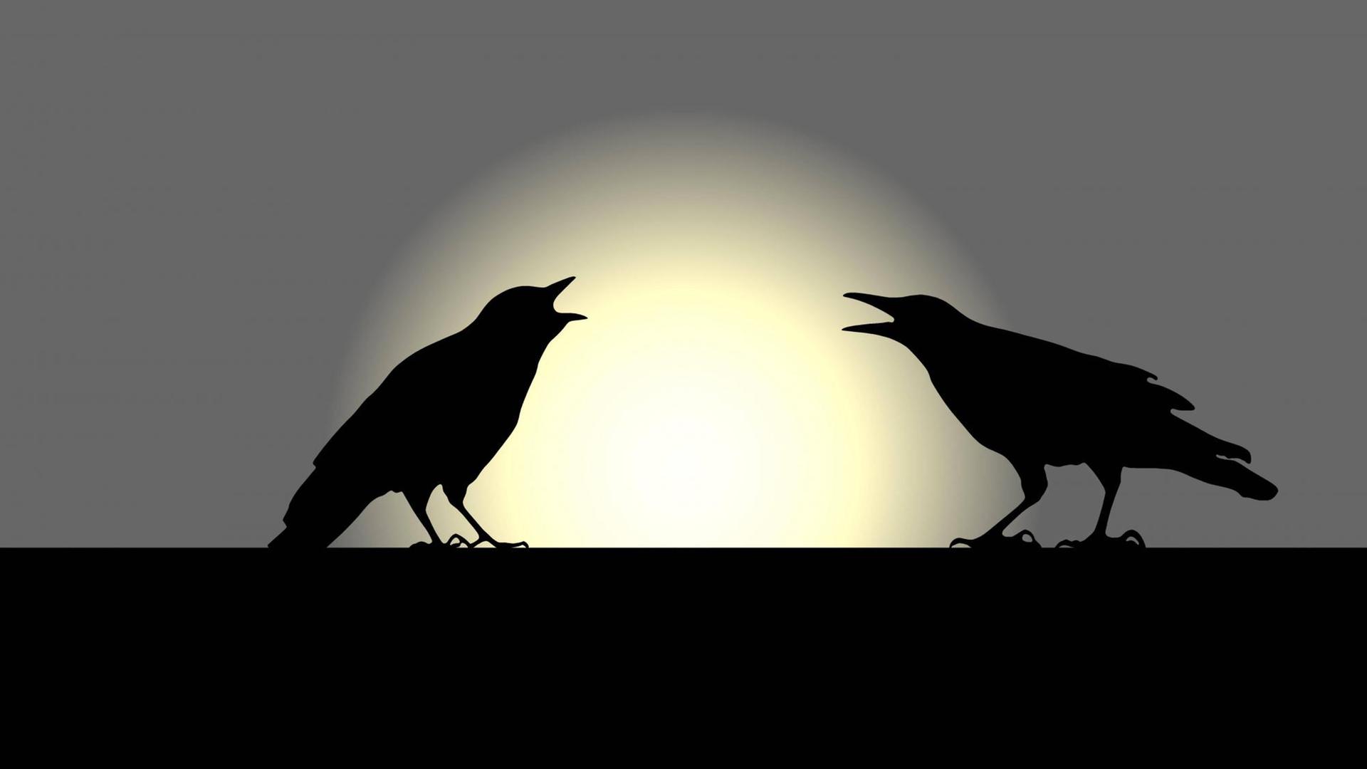Zwei Raben Silhouette vor untergehender Sonne Zwei Raben Silhouette vor untergehender Sonne