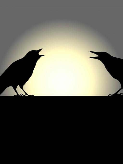 Zwei Raben Silhouette vor untergehender Sonne