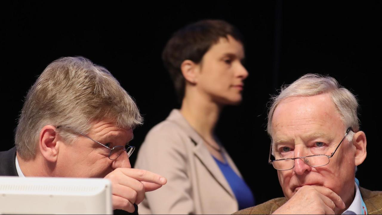 Jörg Meuthen (l), AfD-Bundesvorsitzender und Fraktionsvorsitzender der AfD im Landtag von Baden-Württemberg, und Alexander Gauland, AfD-Fraktionsvorsitzender im Landtag von Brandenburg, unterhalten sich, während im Hintergrund die AfD Parteivorsitzende Frauke Petry steht. Jörg Meuthen (l), AfD-Bundesvorsitzender und Fraktionsvorsitzender der AfD im Landtag von Baden-Württemberg, und Alexander Gauland, AfD-Fraktionsvorsitzender im Landtag von Brandenburg, unterhalten sich, während im Hintergrund die AfD Parteivorsitzende Frauke Petry steht.