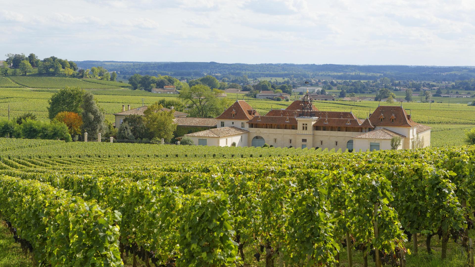 Das Bild zeigt mehrere Weinberge und das Château Angelus in Saint-Émilion in der Nähe der Stadt Bordeaux im Südwesten Frankreichs. Das Bild zeigt mehrere Weinberge und das Château Angelus in Saint-Émilion in der Nähe der Stadt Bordeaux im Südwesten Frankreichs.
