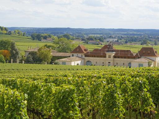 Das Bild zeigt mehrere Weinberge und das Château Angelus in Saint-Émilion in der Nähe der Stadt Bordeaux im Südwesten Frankreichs.