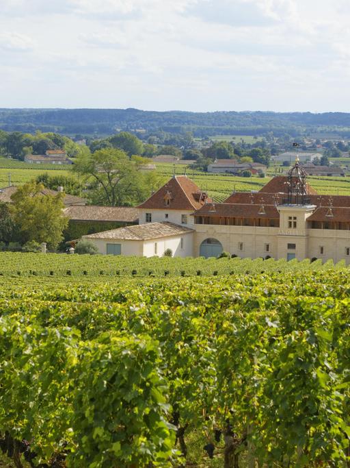Das Bild zeigt mehrere Weinberge und das Château Angelus in Saint-Émilion in der Nähe der Stadt Bordeaux im Südwesten Frankreichs.