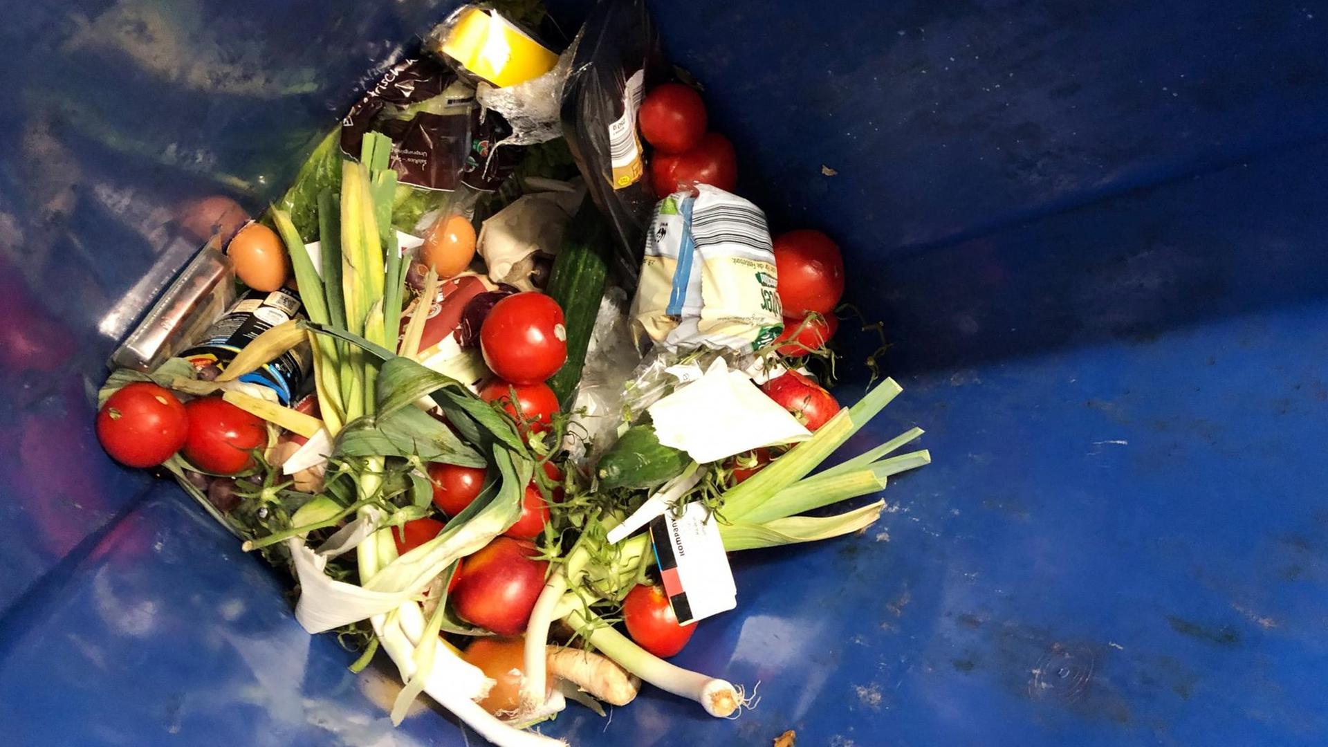 Weggeschmissene Lebensmittel liegen in einer Mülltonne.