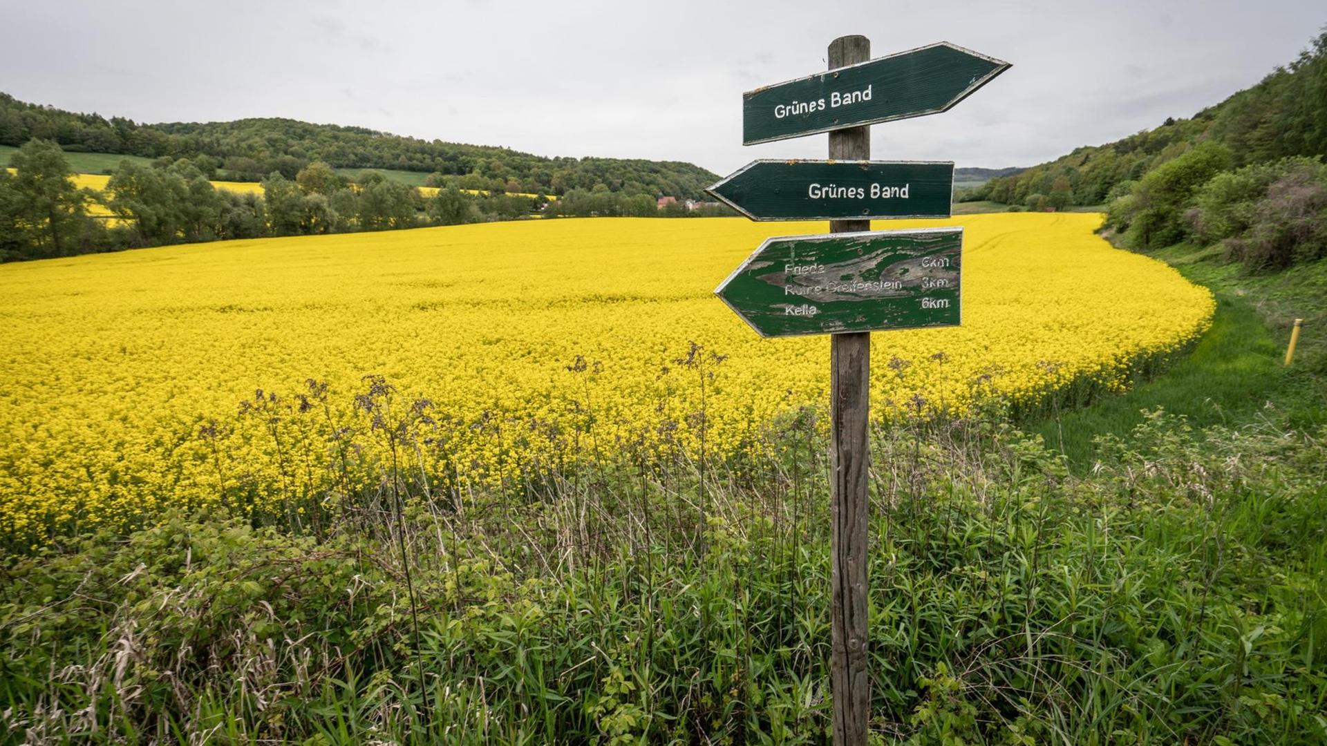 Ein Schild weist auf das sogenannte Grüne Band in der Nähe des thüringischen Geismar entlang der ehemaligen Grenze hin. Ein Schild weist auf das sogenannte Grüne Band in der Nähe des thüringischen Geismar entlang der ehemaligen Grenze hin.