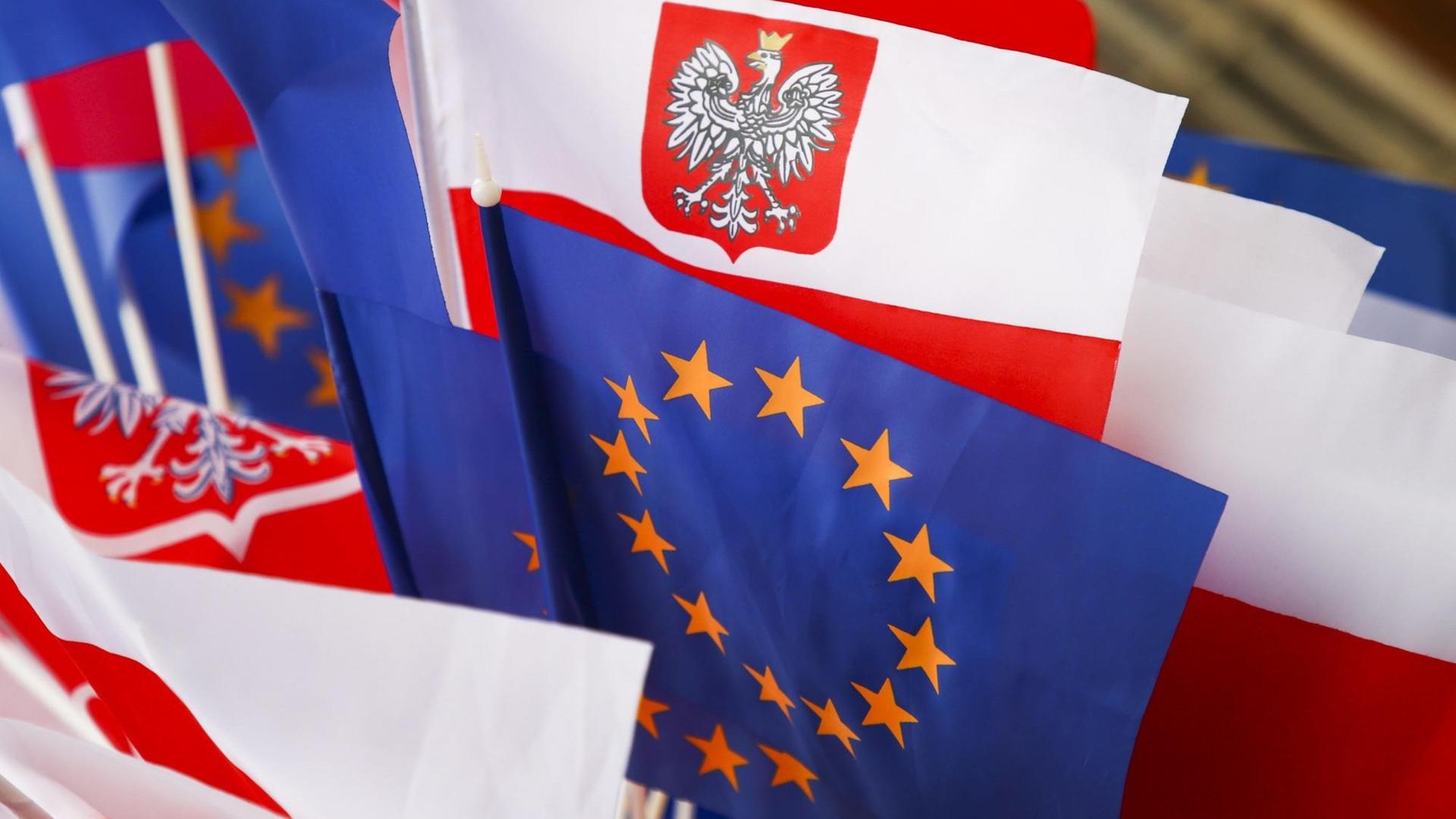Flaggen Polens und der EU Flaggen Polens und der EU