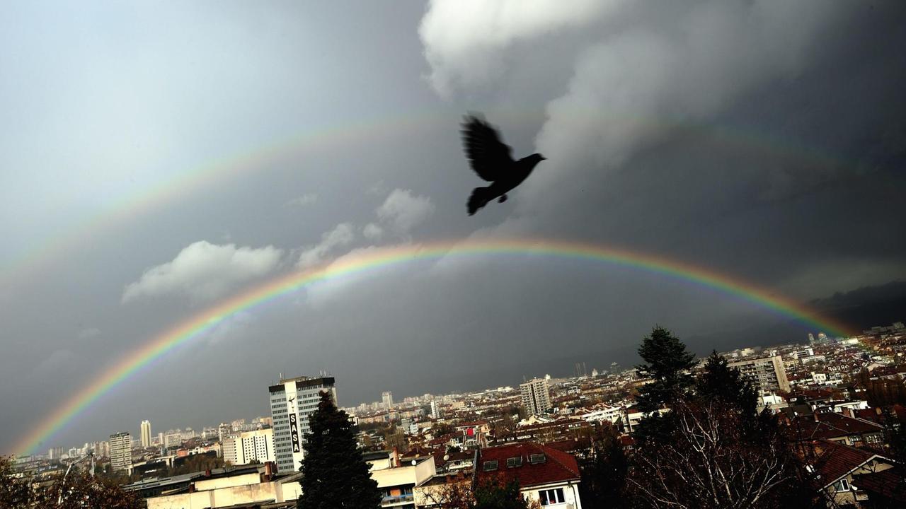 Eine Taube fliegt durch die Luft - darüber ein Regenbogen und dahinter die Stadt Sofia
