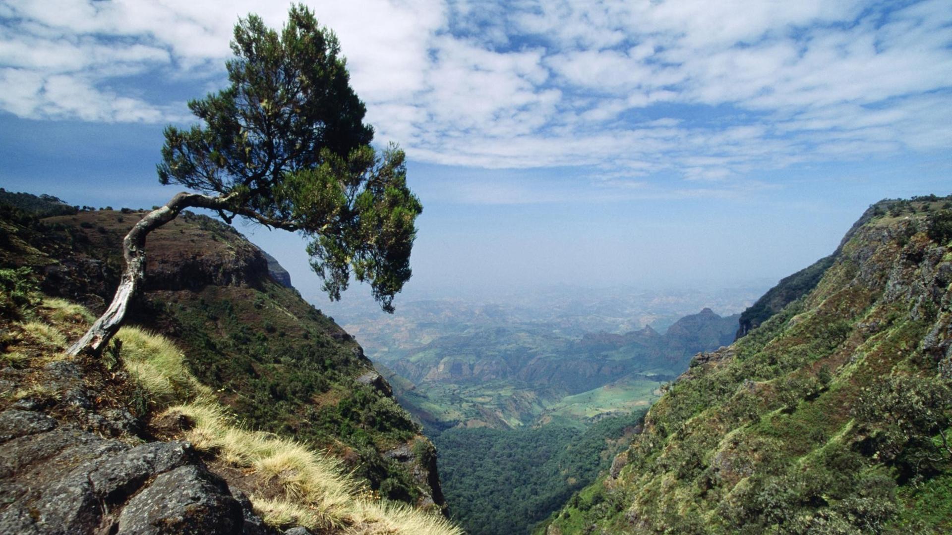 Der Simien Berg in Äthiopien Der Simien Berg in Äthiopien