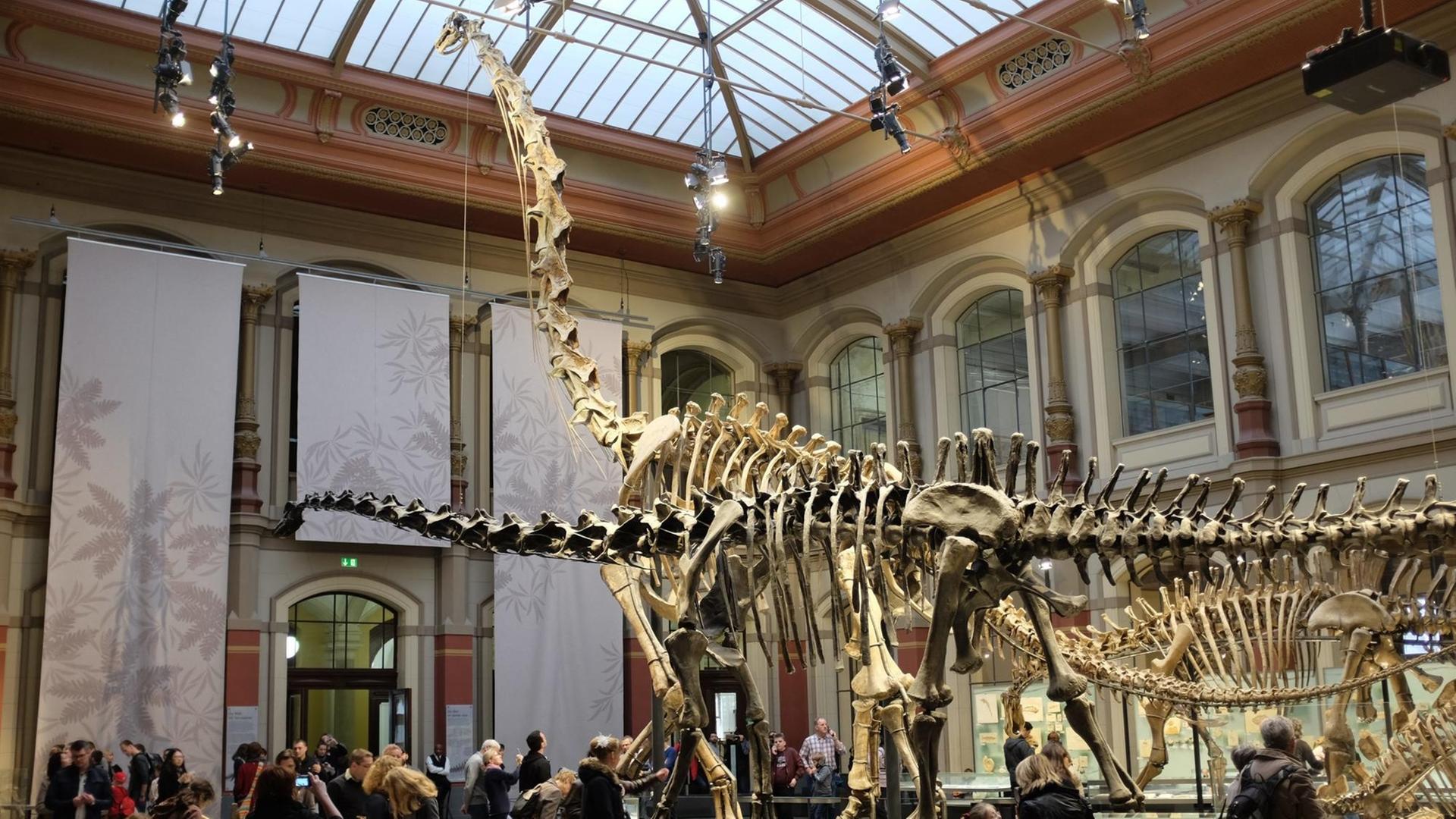 Das Brachiosaurus-Skelett im Naturkundemuseum Berlin Das Brachiosaurus-Skelett im Naturkundemuseum Berlin