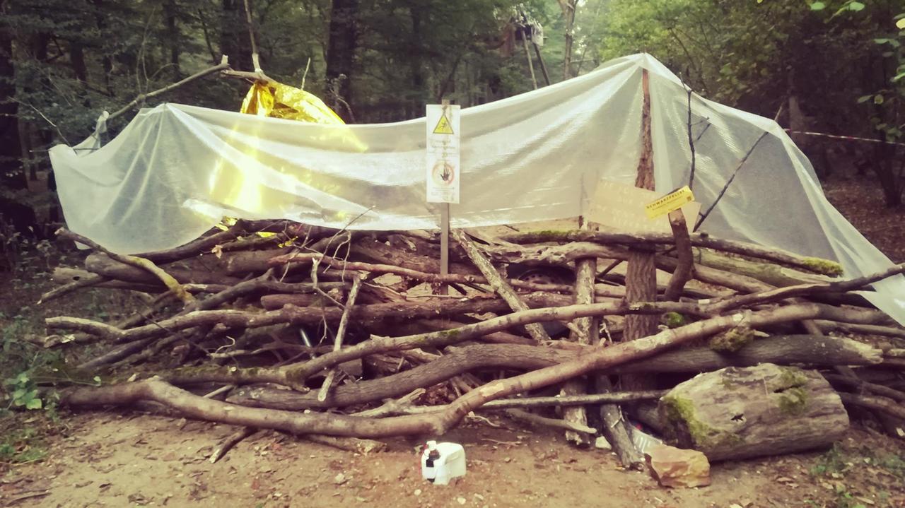 Barrikade im Hambacher Forst Barrikade im Hambacher Forst