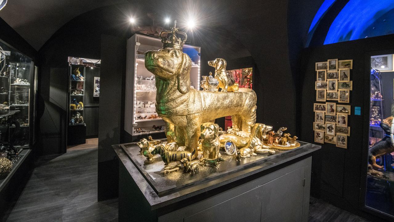 14.03.2018, Bayern, Passau: Dackelnachbildungen in verschiedenen Größen stehen im Dackelmuseum. 14.03.2018, Bayern, Passau: Dackelnachbildungen in verschiedenen Größen stehen im Dackelmuseum.