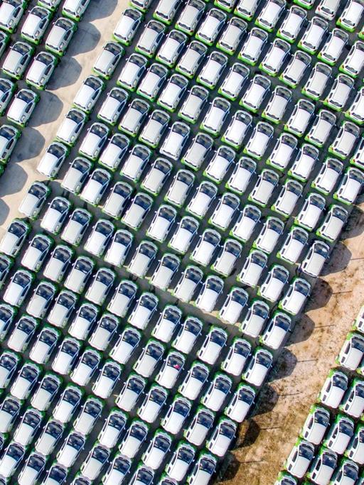 Ein riesen Parkplatz voller chinesischer Elektroautos in Reihen.
