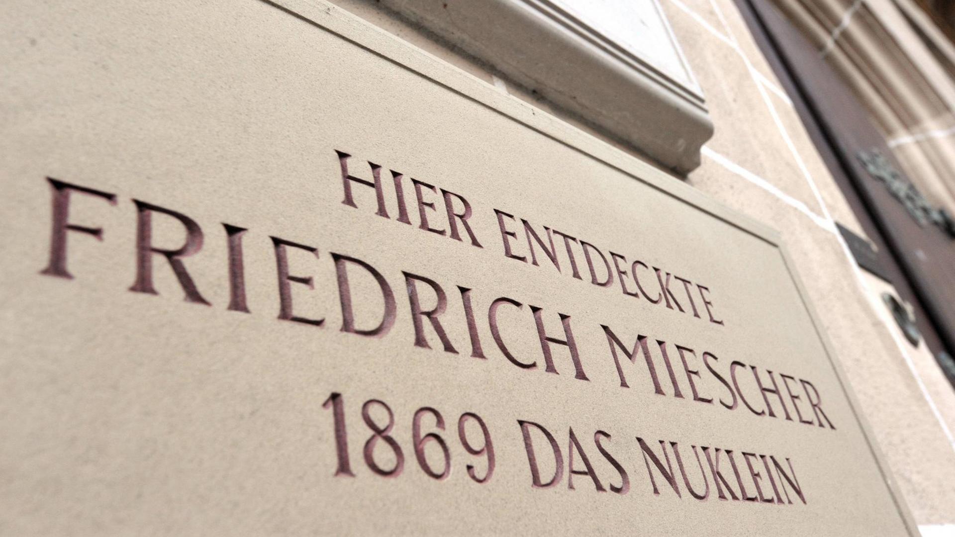 Hinweisschild auf Nuklein-Entdecker Friedrich Miescher am Tübinger Schlossberg Hinweisschild auf Nuklein-Entdecker Friedrich Miescher am Tübinger Schlossberg