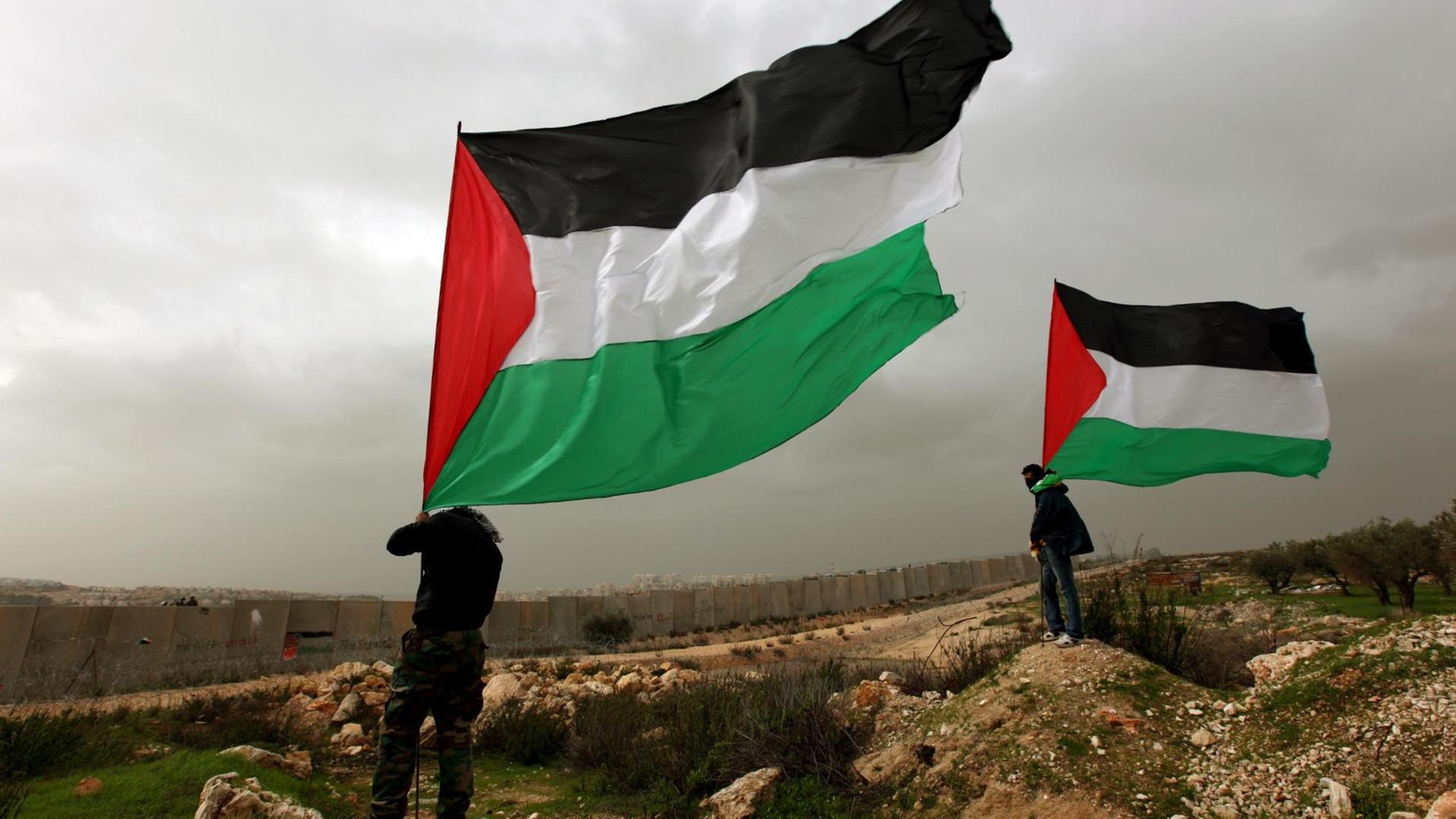 Pro-Palästina-Proteste in Westjordanland (17.2.2012).