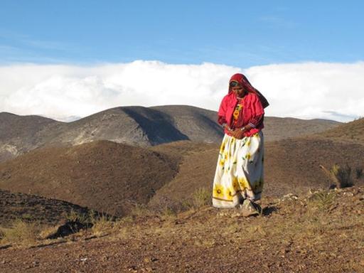 Eine Frau des indigenen mexikanischen Volkes der Huichol in traditioneller Kleidung steht vor einer bergigen kargen Landschaft.