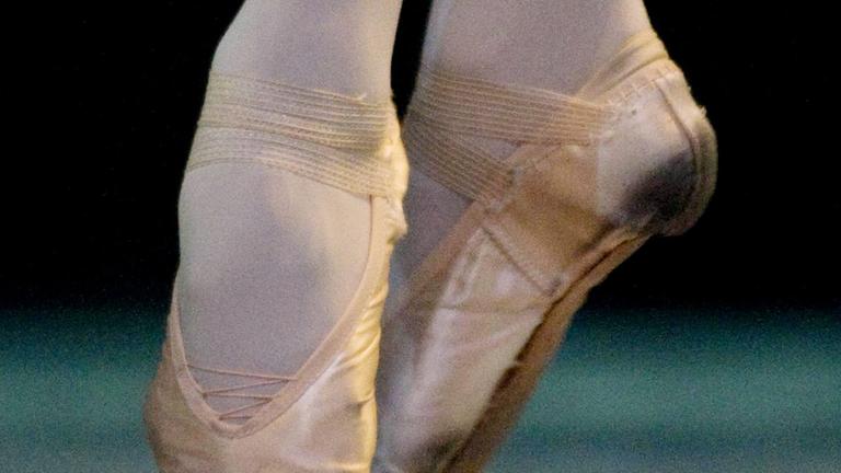 Members of the Royal Russian Ballet perfoms during the 'Swan Lake' at the Pablo Tobon Uribe Teather in Medellin, Colombia Members of the Royal Russian Ballet perfoms during the 'Swan Lake' at the Pablo Tobon Uribe Teather in Medellin, Colombia