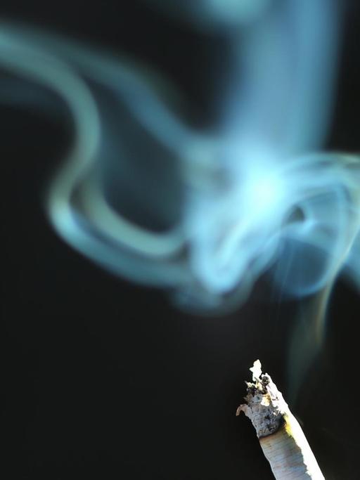 Der Rauch einer brennenden Zigarette aufgenommen am 19.11.2015 in Lauingen.