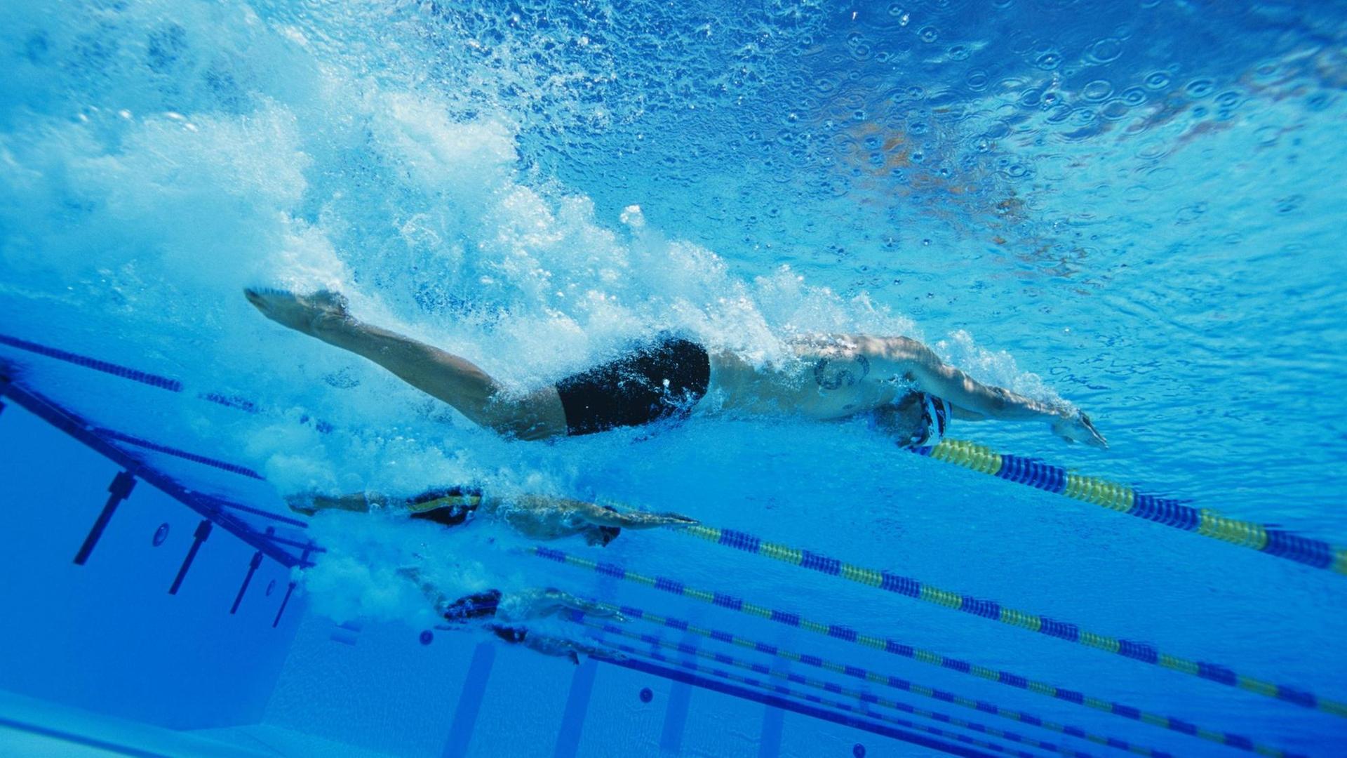 Männer schwimmen in einem Schwimmbecken die Stilrichtung Delfin Männer schwimmen in einem Schwimmbecken die Stilrichtung Delfin