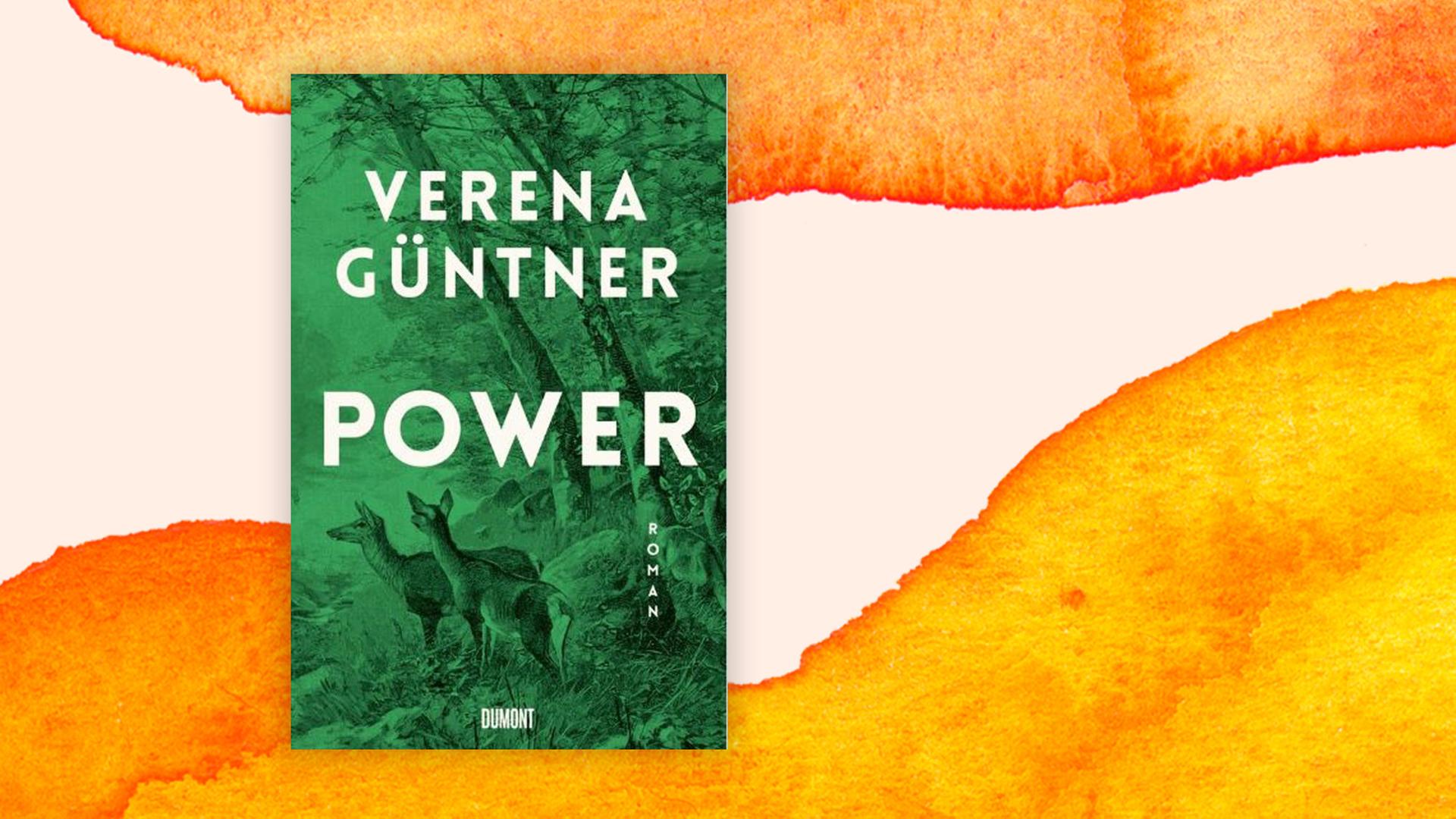 Das Bild zeigt das Cover des neuen Romans von Verena Güntner. Er heißt "Power". Das Bild zeigt das Cover des neuen Romans von Verena Güntner. Er heißt "Power".