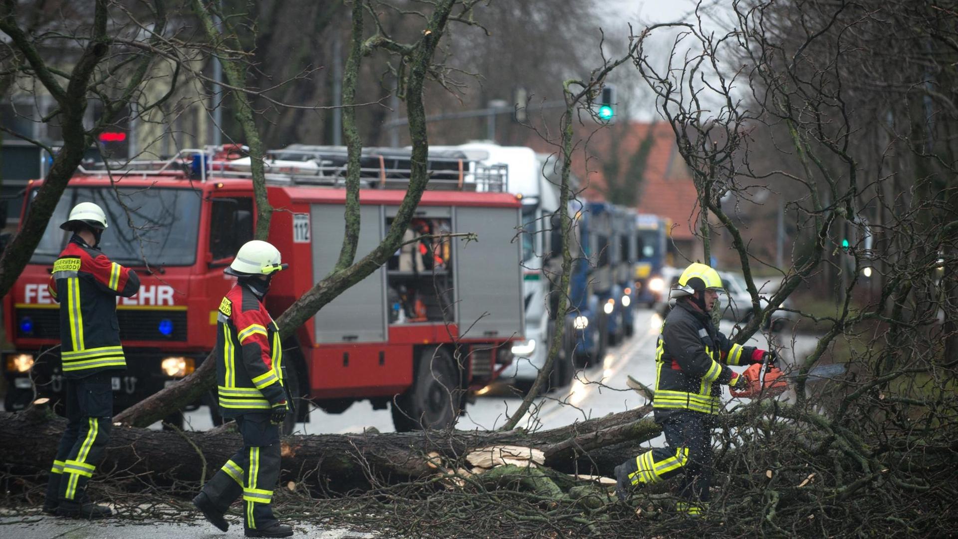 Feuerwehrleute beseitigen am 18.01.2018 in Wernigerode (Sachsen-Anhalt) einen Baum, der quer auf der Fahrbahn liegt. Feuerwehrleute beseitigen am 18.01.2018 in Wernigerode (Sachsen-Anhalt) einen Baum, der quer auf der Fahrbahn liegt.