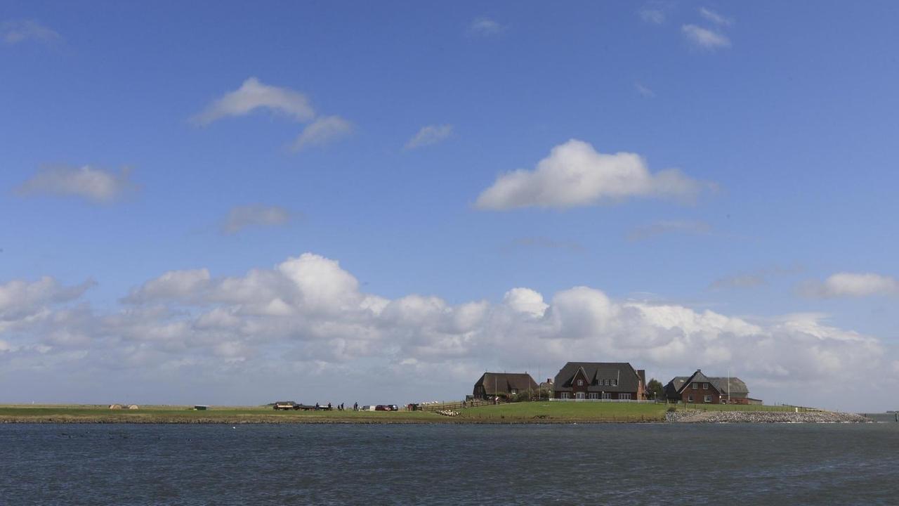 Das Foto zeigt eine Ansammlung von Häusern auf einer Warft auf der Hallig Langeneß (Schleswig-Holstein). Das Foto zeigt eine Ansammlung von Häusern auf einer Warft auf der Hallig Langeneß (Schleswig-Holstein).