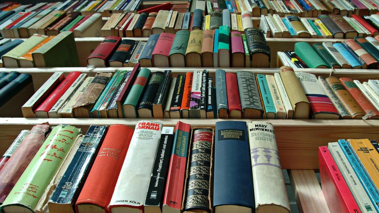 Blick auf ein Bücherregal mit alten, teilweise schon etwas zerfledderten Büchern. Blick auf ein Bücherregal mit alten, teilweise schon etwas zerfledderten Büchern.
