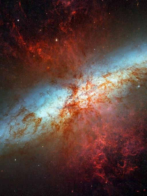 In der Galaxie M 82 stießen Forscher schon vor einigen Jahren auf ein Schwarzes Loch mittlerer Größe
