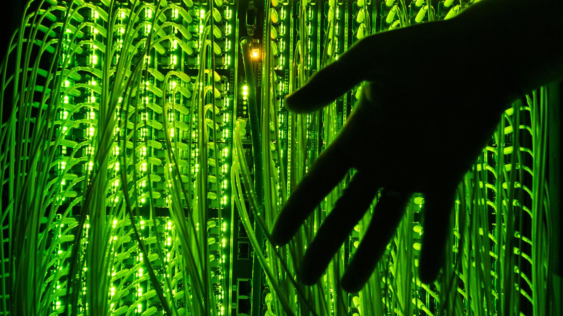 Eine Hand berührt grün beleuchtete Glasfaserkabel, die zur Übertragung von Hochgeschwindigkeitsinternet zusammenlaufen. 