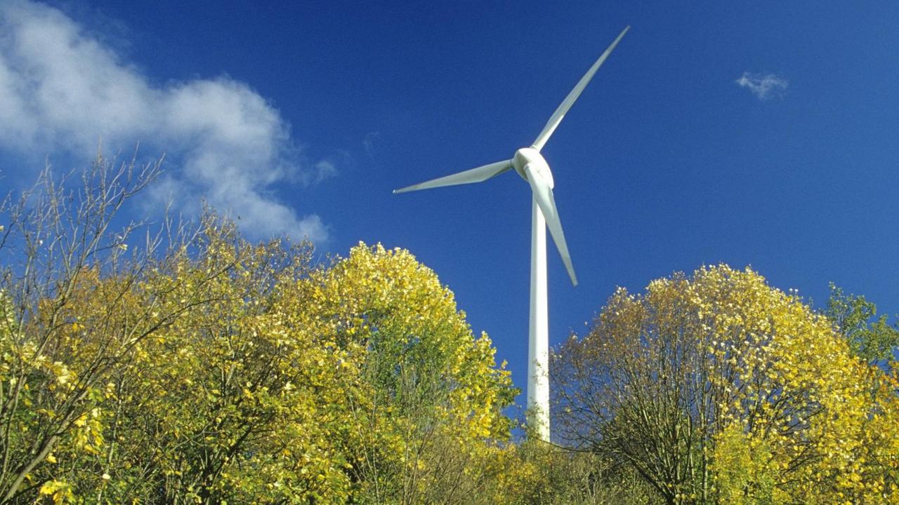 Zwischen grünen Wipfeln ragt ein großes Windrad in den blauen Himmel. Zwischen grünen Wipfeln ragt ein großes Windrad in den blauen Himmel.