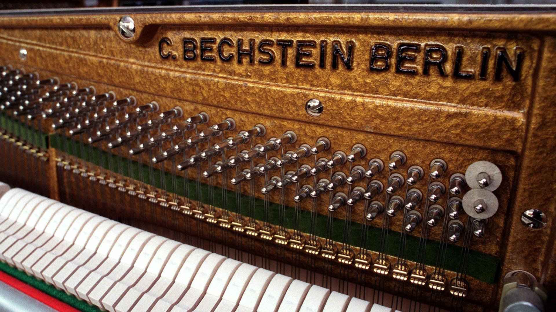 Flügel und Klaviere aus Seifhennersdorf Aufgenommen am 14. Januar 1999.