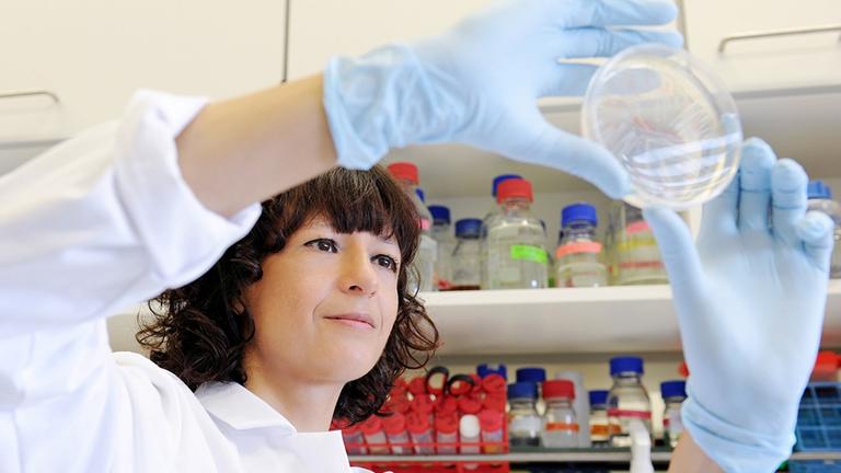 Emmanuelle Charpentier hat die "Genschere" Crispr/Cas9 zusammen mit Jennifer Doudna entwickelt. Sie forscht am Max-Planck-Institut für Infektionsbiologie in Berlin. Emmanuelle Charpentier hat die "Genschere" Crispr/Cas9 zusammen mit Jennifer Doudna entwickelt. Sie forscht am Max-Planck-Institut für Infektionsbiologie in Berlin.