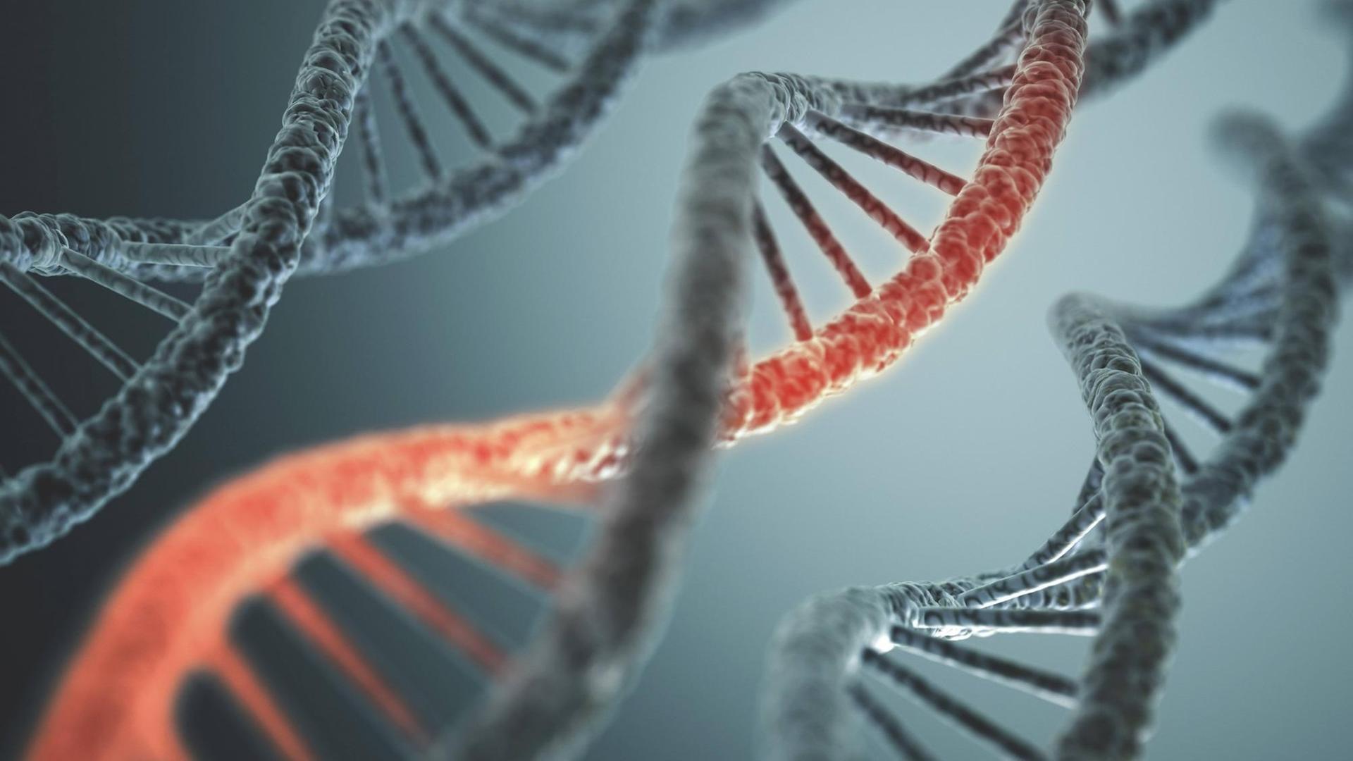 DNA-Strang DNA-Strang