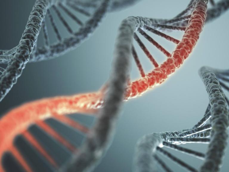 DNA-Strang