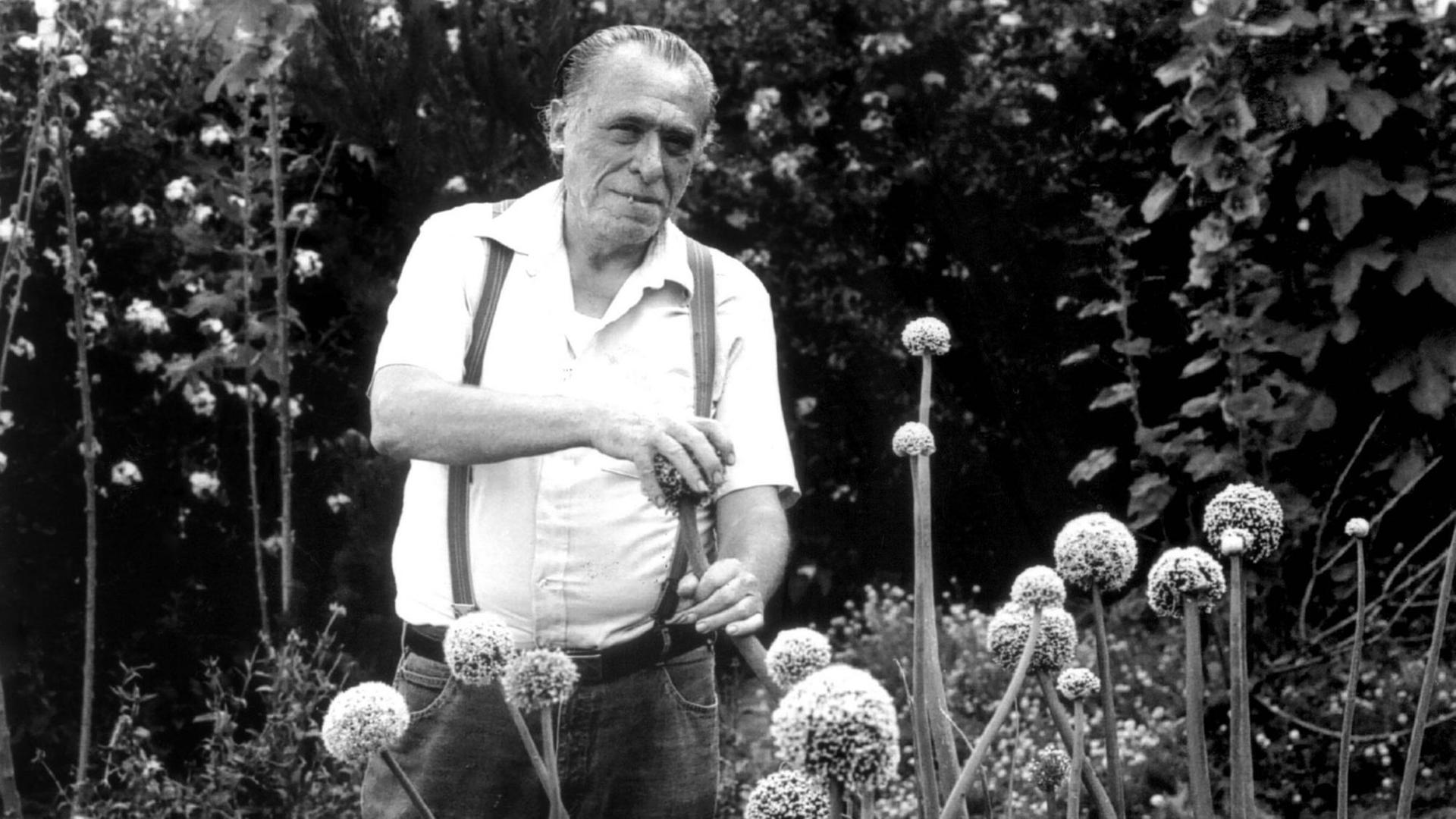 Historische schwarz-weiss Aufnahme des Schriftstellers Charles Bukowski in einem Garten, er streichelt eine phallisch aussehende Pflanze. Historische schwarz-weiss Aufnahme des Schriftstellers Charles Bukowski in einem Garten, er streichelt eine phallisch aussehende Pflanze.