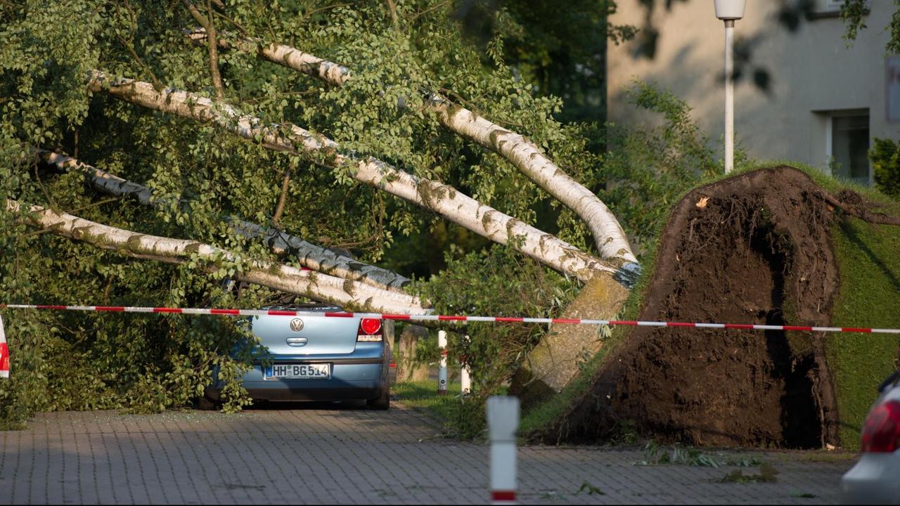 Ein umgestürzter Baum liegt auf einem blauen Auto, das Erdreich hat den Asphalt aufgebrochen. Ein umgestürzter Baum liegt auf einem blauen Auto, das Erdreich hat den Asphalt aufgebrochen.