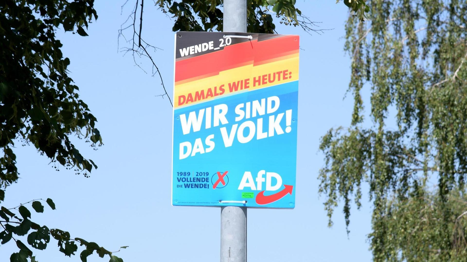 Ein Wahlplakat der Partei Alternative für Deutschland (AfD) mit der Aufschrift "Wir sind das Volk!" ist in Brandenburg zu sehen. Ein Wahlplakat der Partei Alternative für Deutschland (AfD) mit der Aufschrift "Wir sind das Volk!" ist in Brandenburg zu sehen.