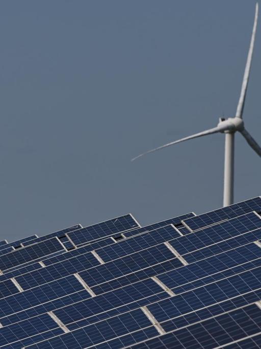 Solar-Panels und Windturbinen in einem Kraftwerk in Yancheng in der Provinz Jiangsu in China