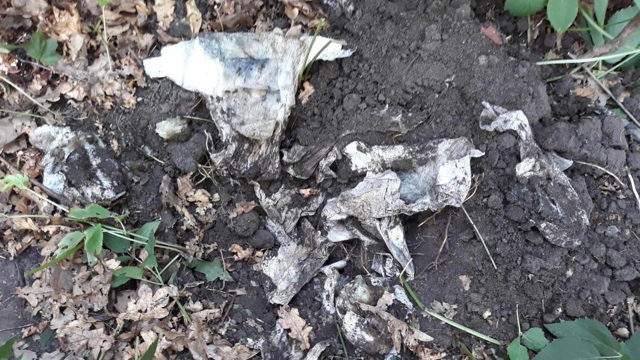 Reste einer Öko-Windel, ausgegraben, nachdem sie ein JAhr in der Erde gelegen hat. Reste einer Öko-Windel, ausgegraben, nachdem sie ein JAhr in der Erde gelegen hat.