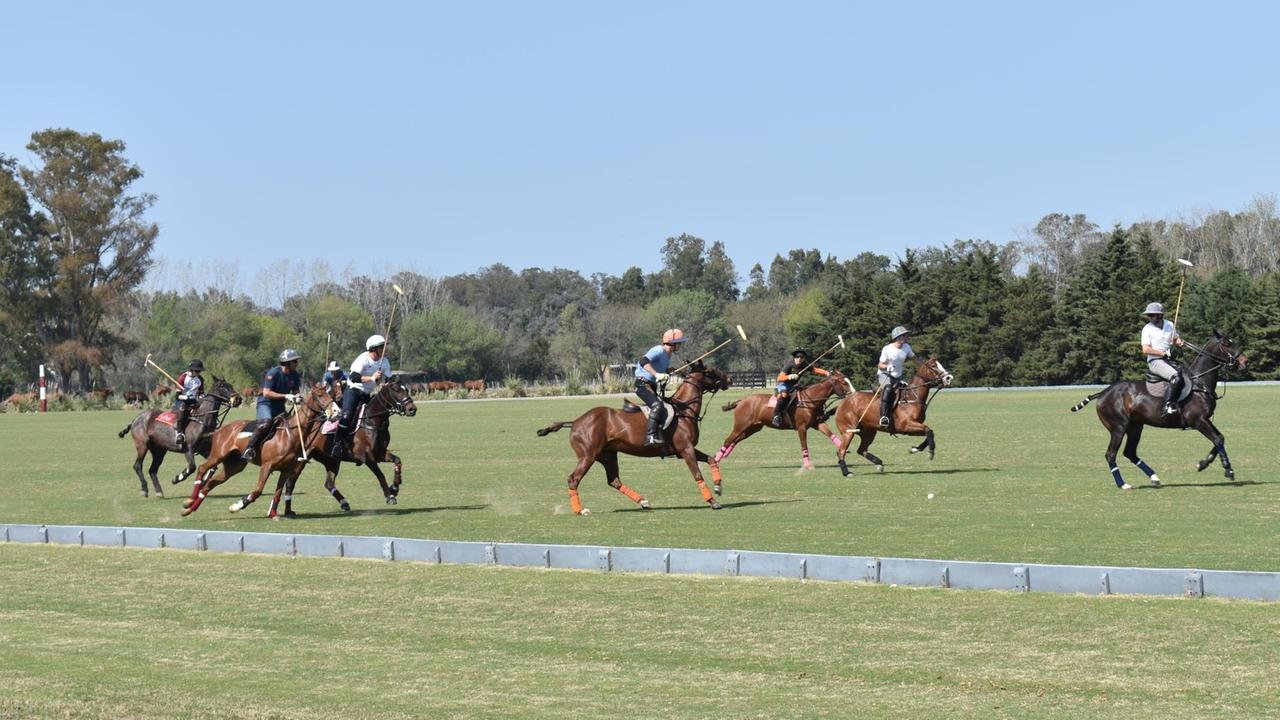 Das Polo-Team La Dolfina traniert auf dem Polo-Feld mit seinen Pferden bei Sonnenschein. Das Polo-Team La Dolfina traniert auf dem Polo-Feld mit seinen Pferden bei Sonnenschein.