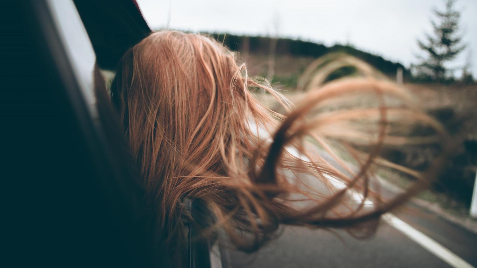Eine Person streckt den Kopf aus dem Autofenster. Zu sehen ist der Hinterkopf mit flatternden Haaren im Fahrtwind. Eine Person streckt den Kopf aus dem Autofenster. Zu sehen ist der Hinterkopf mit flatternden Haaren im Fahrtwind.