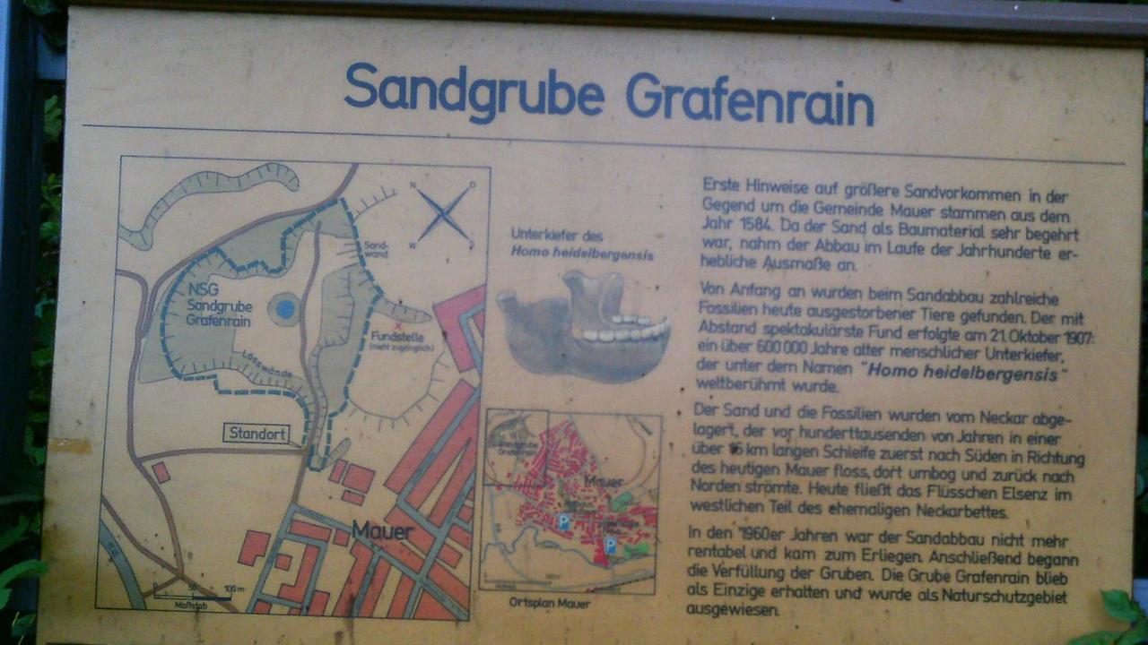 In der Sandgrube Grafenrain wurde der 600.000 Jahre alte menschliche Unterkiefer gefunden. In der Sandgrube Grafenrain wurde der 600.000 Jahre alte menschliche Unterkiefer gefunden.