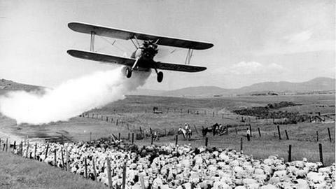 DDT wurde auch als Mittel gegen Zeckenbefall bei Schafen eingesetzt, USA 1948