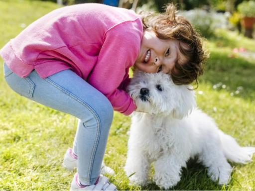 Ein kleines Mädchen knuddelt auf einer Wiese mit einem weißen Hund.