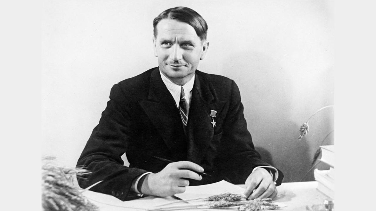 Trofim Denissowitsch Lyssenko \(1898-1976\) sitzt am Schreibtisch, auf dem Getreideähren liegen \(Foto\)