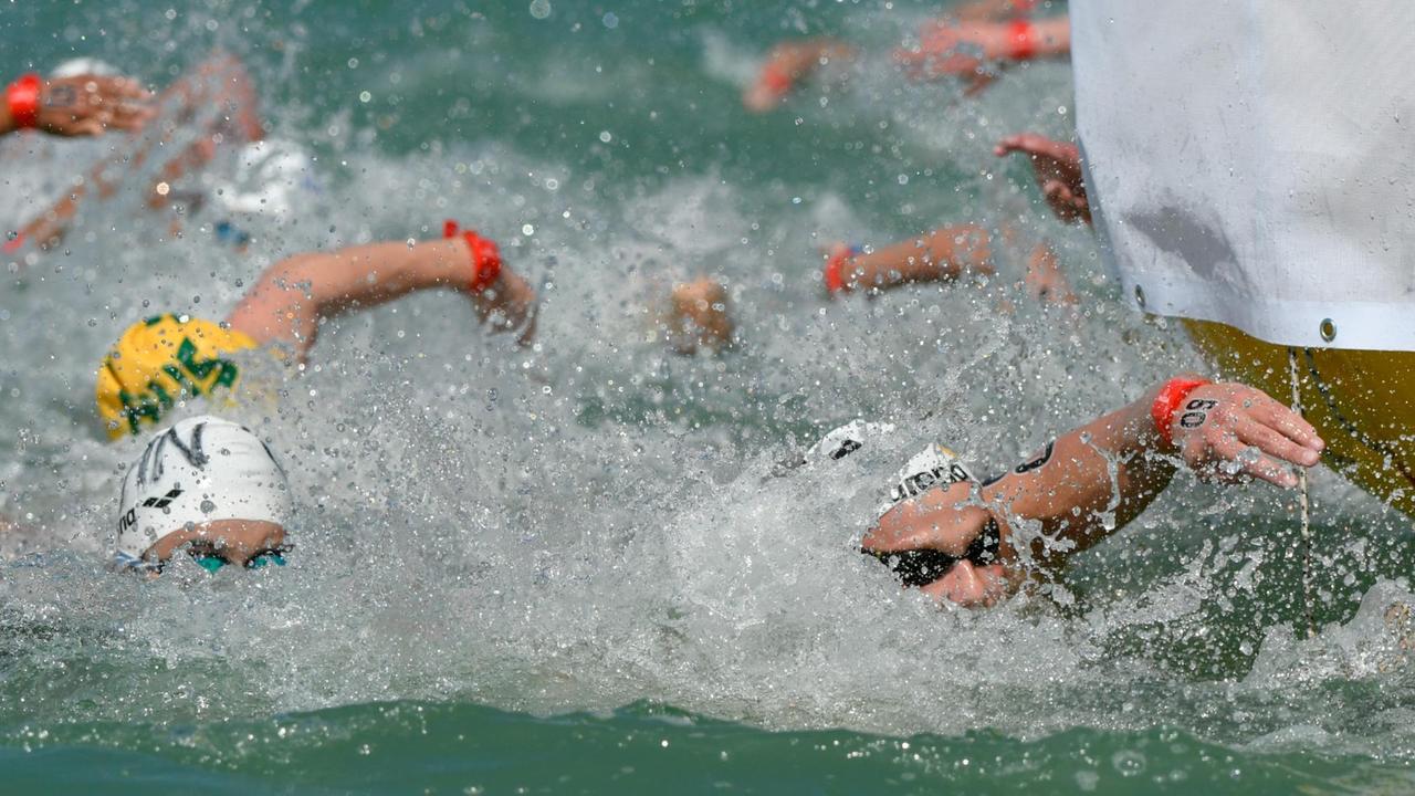 deutsche-schwimmer-holen-gold-nachrichtenleicht-de