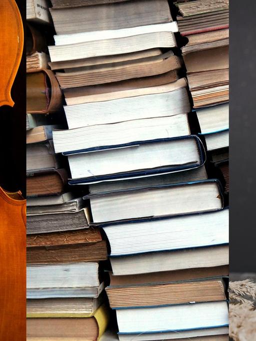 Collage: links eine Geige, in der Mitte ein Bücherstapel und rechts eine alte Fotokamera.