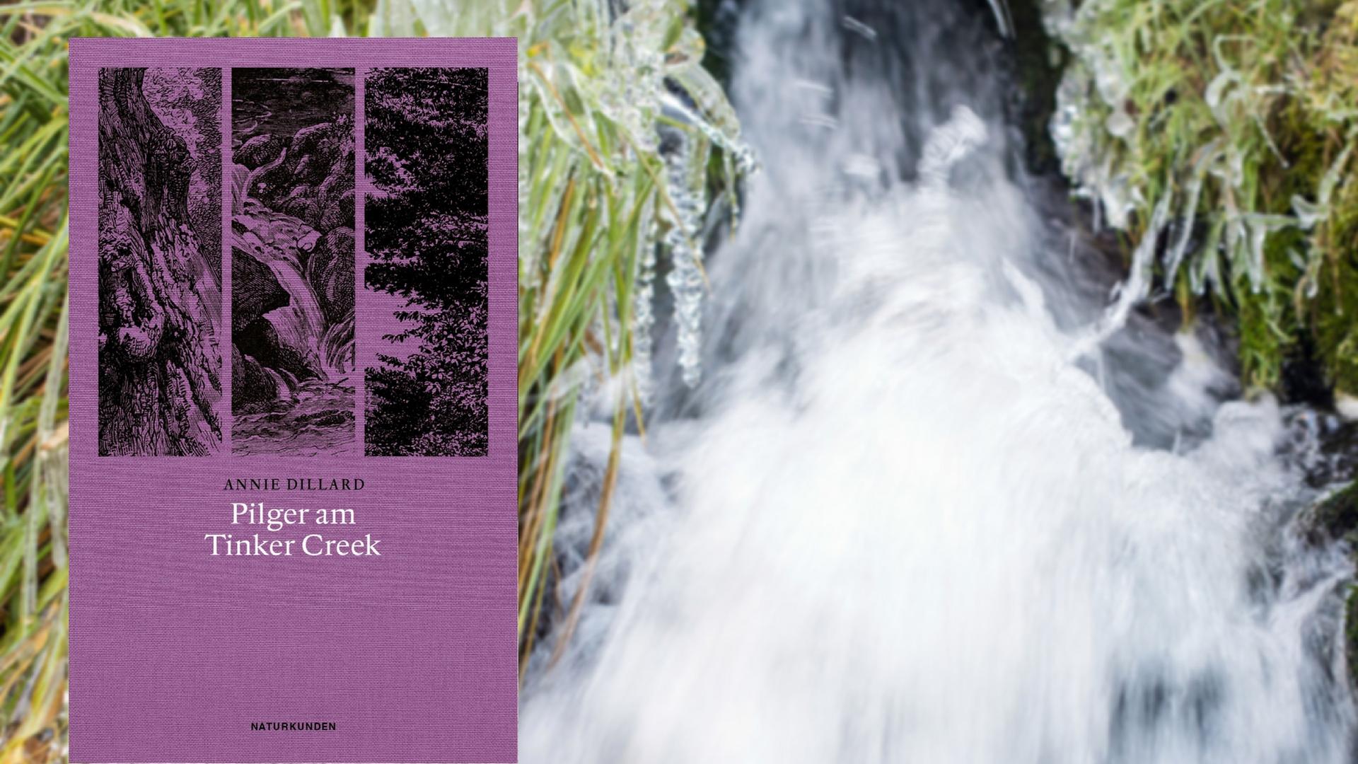 Im Vordergrund das Buchcover zu Annie Dillards "Pilger am Tinker Creek", im Hintergrund ein rauschender Bach mit vereistem Ufer. Im Vordergrund das Buchcover zu Annie Dillards "Pilger am Tinker Creek", im Hintergrund ein rauschender Bach mit vereistem Ufer.